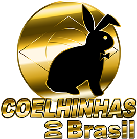 Logomarca - acompanhantes São Luis, garotas de programa em São Luis | COELHINHAS DO BRASIL